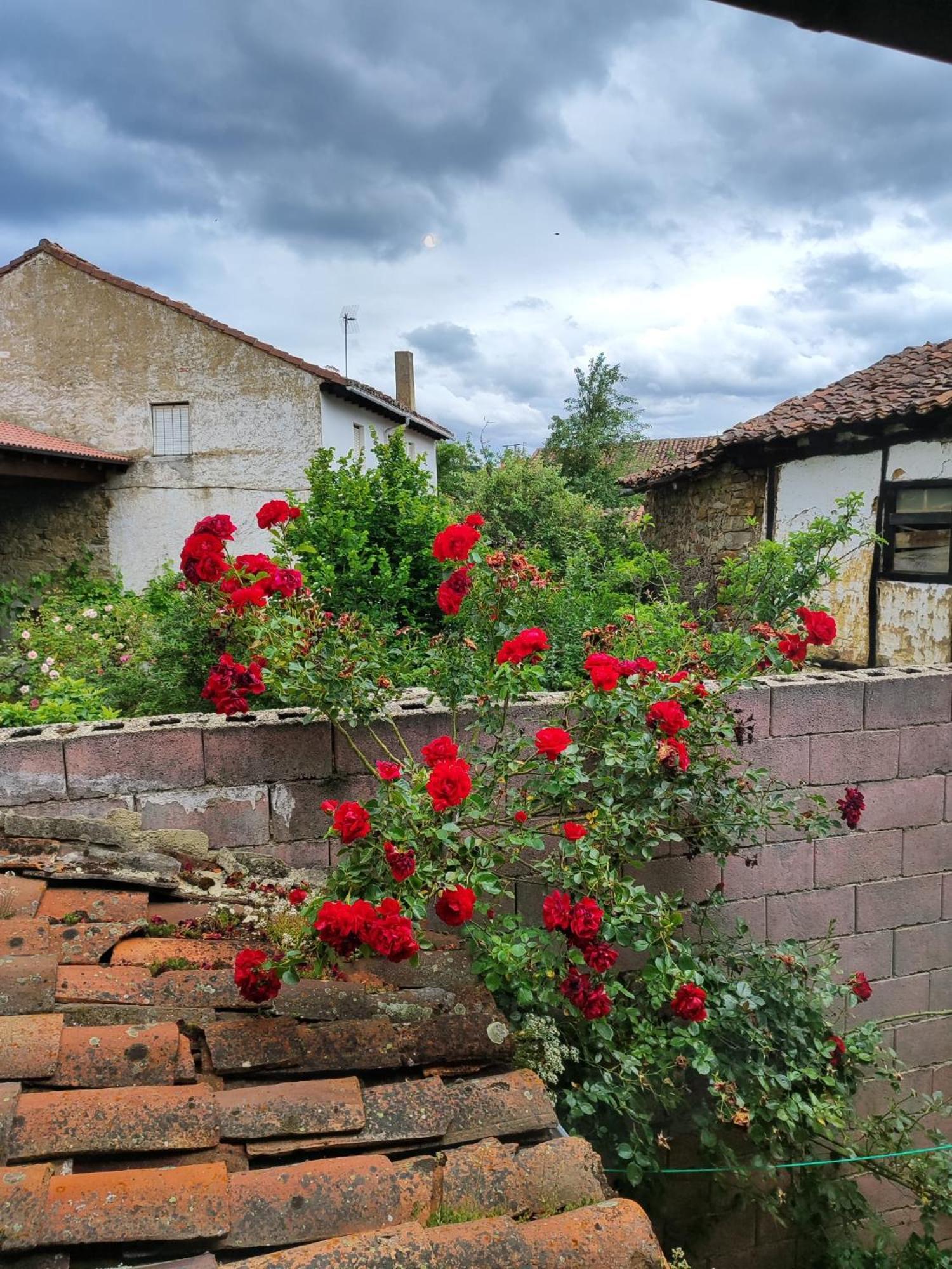 Гостевой дом Casa Simon Сервера-де-Писуэрга Экстерьер фото